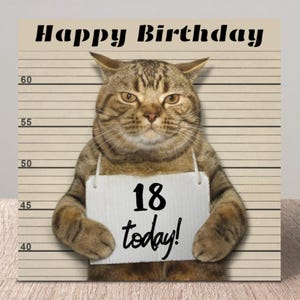 Carte d'anniversaire drôle de chat, carte de chat, cartes d'anniversaire d'étape importante, carte de voeux, joyeux anniversaire, 18e, 21e, 30e, 40e, 50e, 60e, 70e, 80e