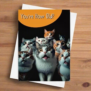 Verjaardagskaart grappige kat, kaart grappige kat, kaart humoristische kat, kaart eigenzinnige kat, kaart ongebruikelijke kat, kaart kattenliefhebber - je bent hoe oud?