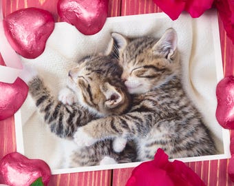 Cute Cats Greeting Card, Valentines Day, Anniversary Greeting Card, Kittens Greetings Card, Snuggle Up - by Fabulous Felines®