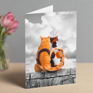 Carte de voeux chat, paire de chats, carte d'anniversaire, carte chat Saint Valentin, carte d'anniversaire, carte insolite, carte pour amoureux des chats félin l'amour