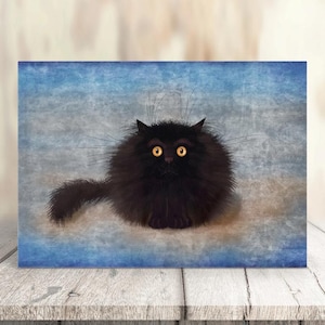 Cartão de felicitações engraçado de gato preto fofo – Cartão de arte de gato peludo fofo – Presente exclusivo para amantes de gatos – Cartão em branco para qualquer ocasião Fabulous Felines®