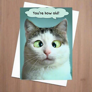 Carte d'anniversaire drôle de chat, carte drôle de chat, carte humoristique de chat, carte de chat originale, carte de chat insolite, carte d'amant de chat - vous avez quel âge ?