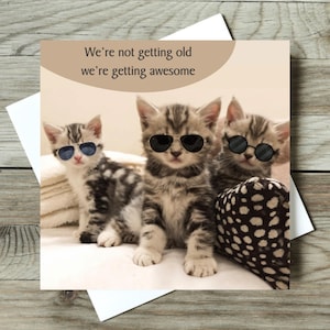 Verjaardagskaart grappige kat, kaart grappige kat, kaart grappige kat, kaart grappige kat, kaart eigenzinnige kat, kaart ongebruikelijke kat, kaart kattenliefhebber - wordt geweldig
