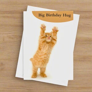 Carte de gros anniversaire câlin, carte de voeux chat roux, carte de voeux chaton roux, carte mignon chaton amoureux - par Fabulous Felines®
