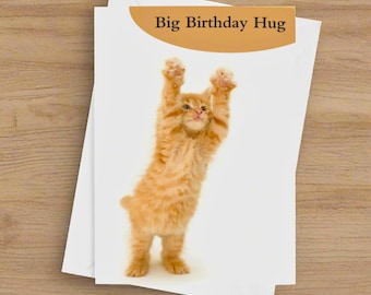 Big Birthday Hug Card, Ginger Cat Greeting Card, Ginger Kitten Greetings Card, Cute Kitten Lover Card - by Fabulous Felines®