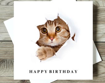 Funny Tabby Cat Birthday Card, Cat Lover Gift