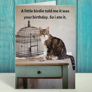 Carte d'anniversaire drôle de chat, carte de voeux de chat et d'oiseau, carte de voeux de chat tigré, carte mignonne d'amant de chat - un petit oiseau par Fabulous Felines®