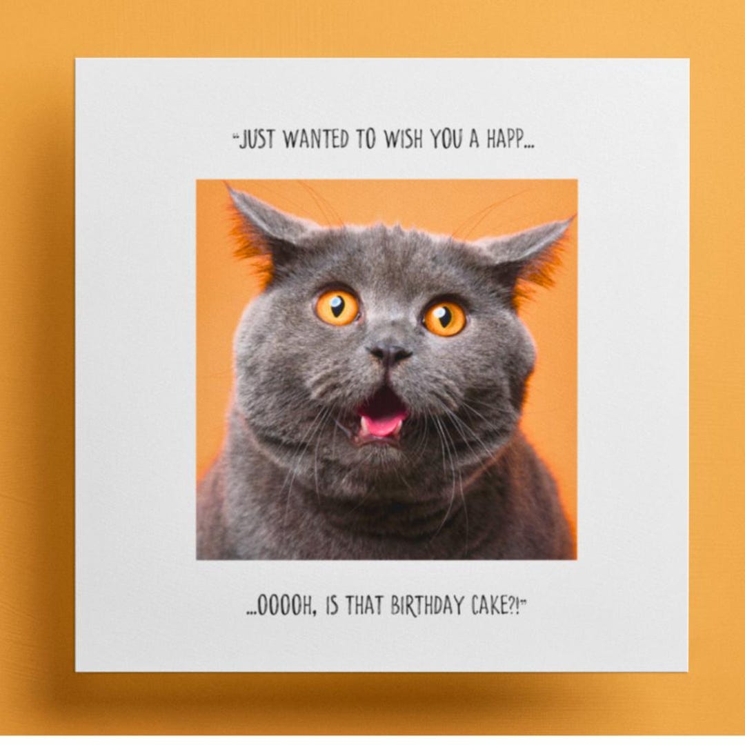 : bhiosng happy birthday card for cat lover, funny... Funny Cat Birthday Card, Funny Cat Card, Humorous Cat Card, Quirky Cat ...