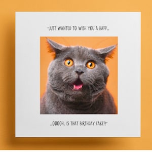 Carte d'anniversaire drôle de chat, carte drôle de chat, carte humoristique de chat, carte de chat originale, carte de chat insolite, carte d'amant de chat - juste de voué