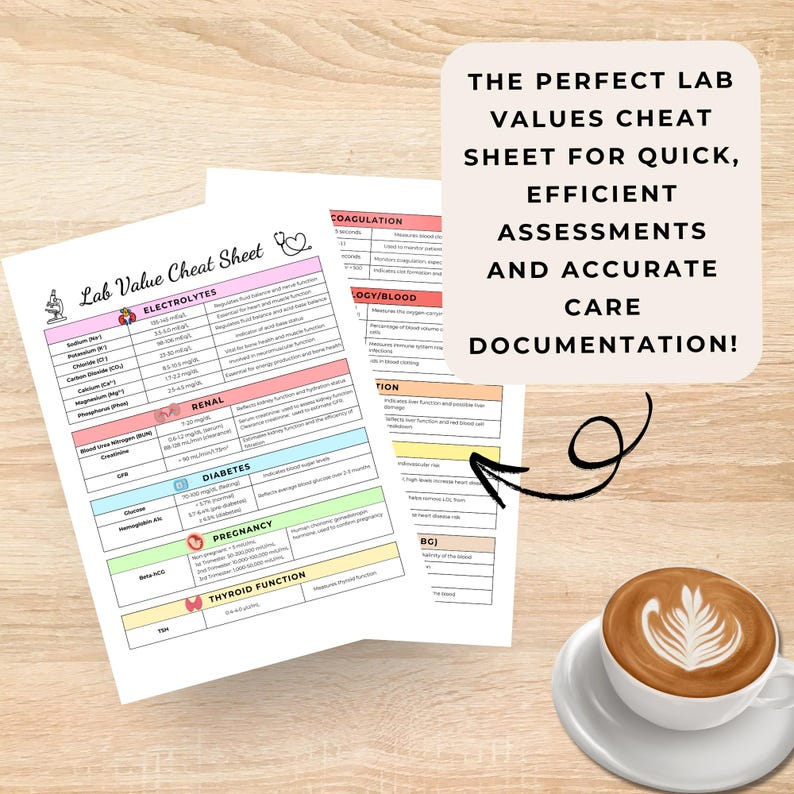 Hospice Nurse Cheat Sheet, Printable Assessment Form, Nursing Student ...
