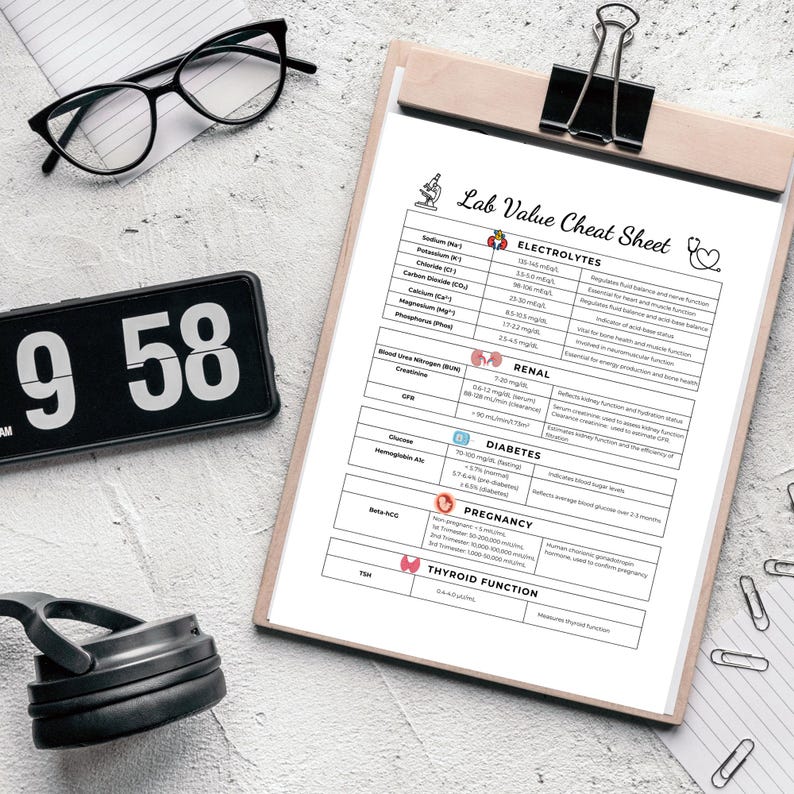 Hospice Nurse Cheat Sheet, Printable Assessment Form, Nursing Student ...