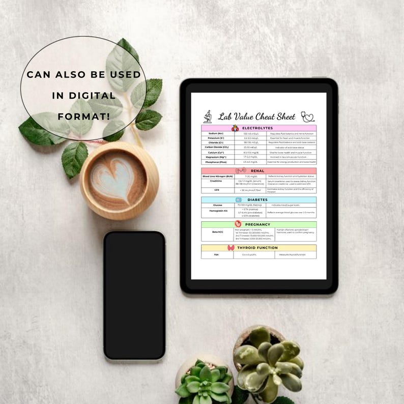 Hospice Nurse Cheat Sheet: Assessment Form & Lab Values (printable) - Etsy