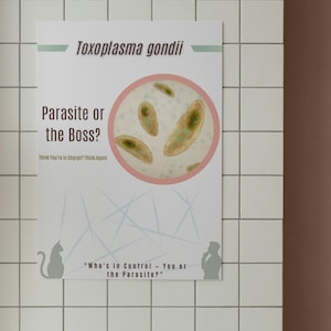 Toxoplasma gondii Science Poster – Brain-Controlling Parasite | Parasitology Wall Art | Funny Medical Anatomy Print | A3/A4 Digital Download