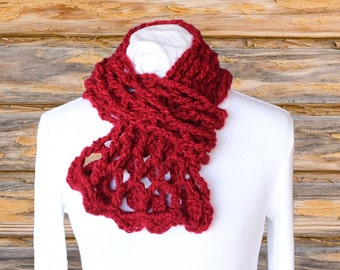 Easy to Crochet Scarf Pattern, Trellis Crochet Cowl Pattern, Chunky Crochet Cowl Patterns, Quick to Crochet Projects, Crochet Pattern