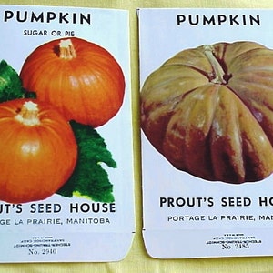 May include: Two seed packets for pumpkin. The first packet shows two orange pumpkins with green leaves. The second packet shows a single brown pumpkin. Both packets have the text "Pumpkin" and "Prout's Seed House" with the address "Portage La Prairie, Manitoba".