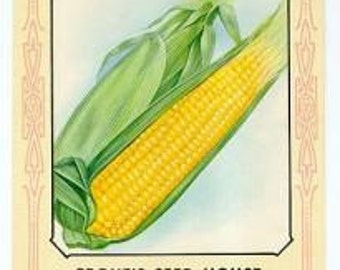 Antique Large Seed Packet Colorful Vegetables Suitable To Frame Cottage Chic Decor Scrapbooking Crafts,Farmhouse Decor, Weddings Gifts
