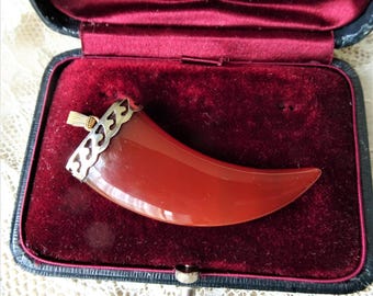 LOVELY Vintage Carved Carnelian Claw and Silver Pendant, Beautiful Vintage Pendant Necklace, Collectible Vintage Jewelry