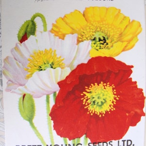 1930er Jahre BUNTES Blumen-Vintage-Samenpaket Perfekt zum Rahmen oder für Hochzeiten, Handwerk Scrapbooking, Bauernhaus, French Country Decor, Geschenke