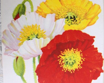 1930s COLORFUL Floral Vintage Seed Packet Perfect to Frame or For Weddings, Crafts Scrapbooking, Farmhouse, French Country Decor, Gifts