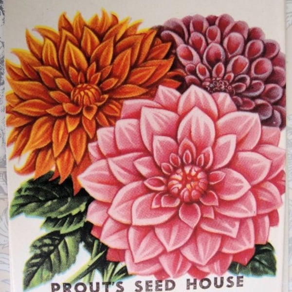 Beautiful VINTAGE Seed Packet Perfect To Frame Great Gift For Gardener, Scrapbooking,French Cottage ,Farmhouse Decor Wedding Place Holders