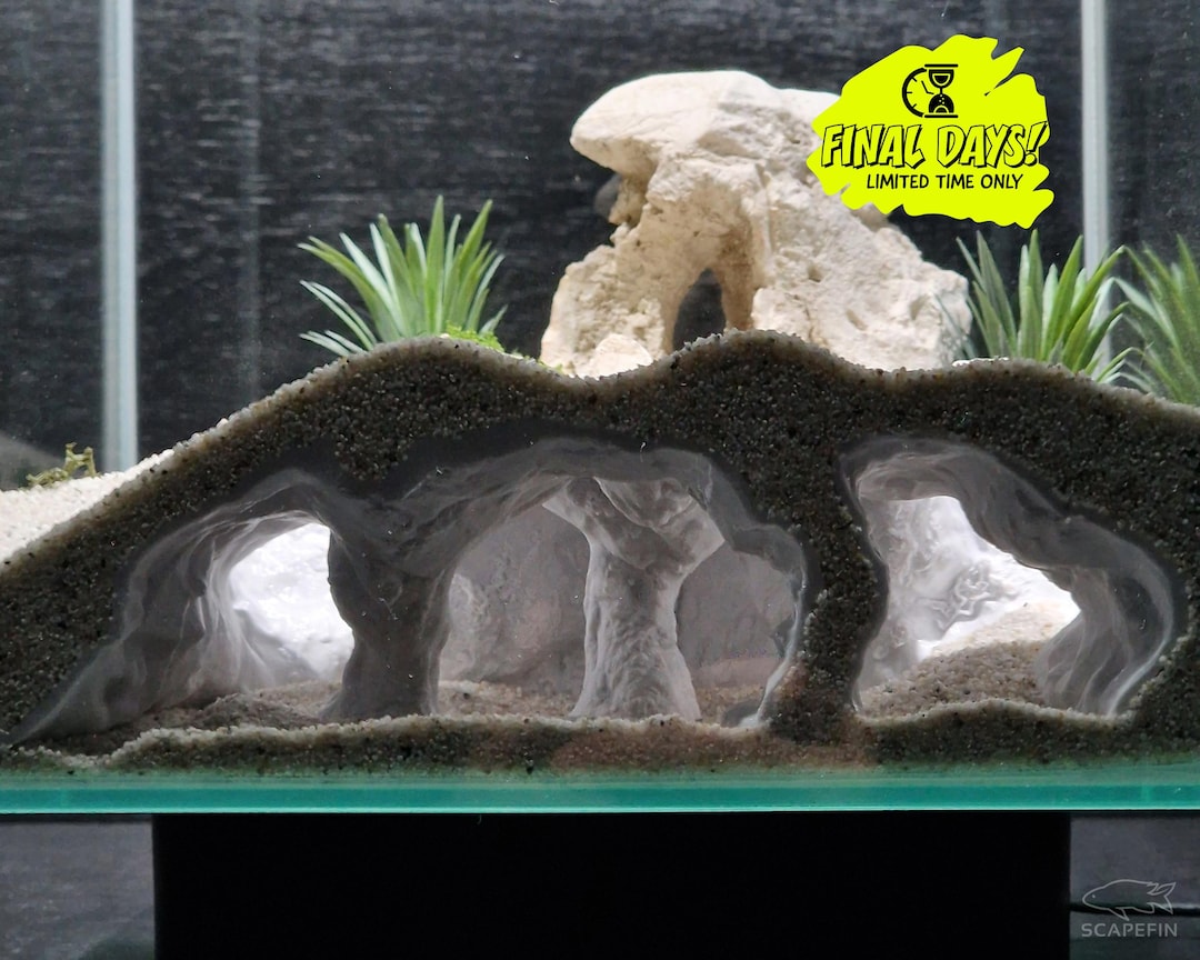 Betta Fish Tunnel With Suction Cup - Aquarium Hideout For Small Fish, Shrimp & Guppies - Black Decor Cave
