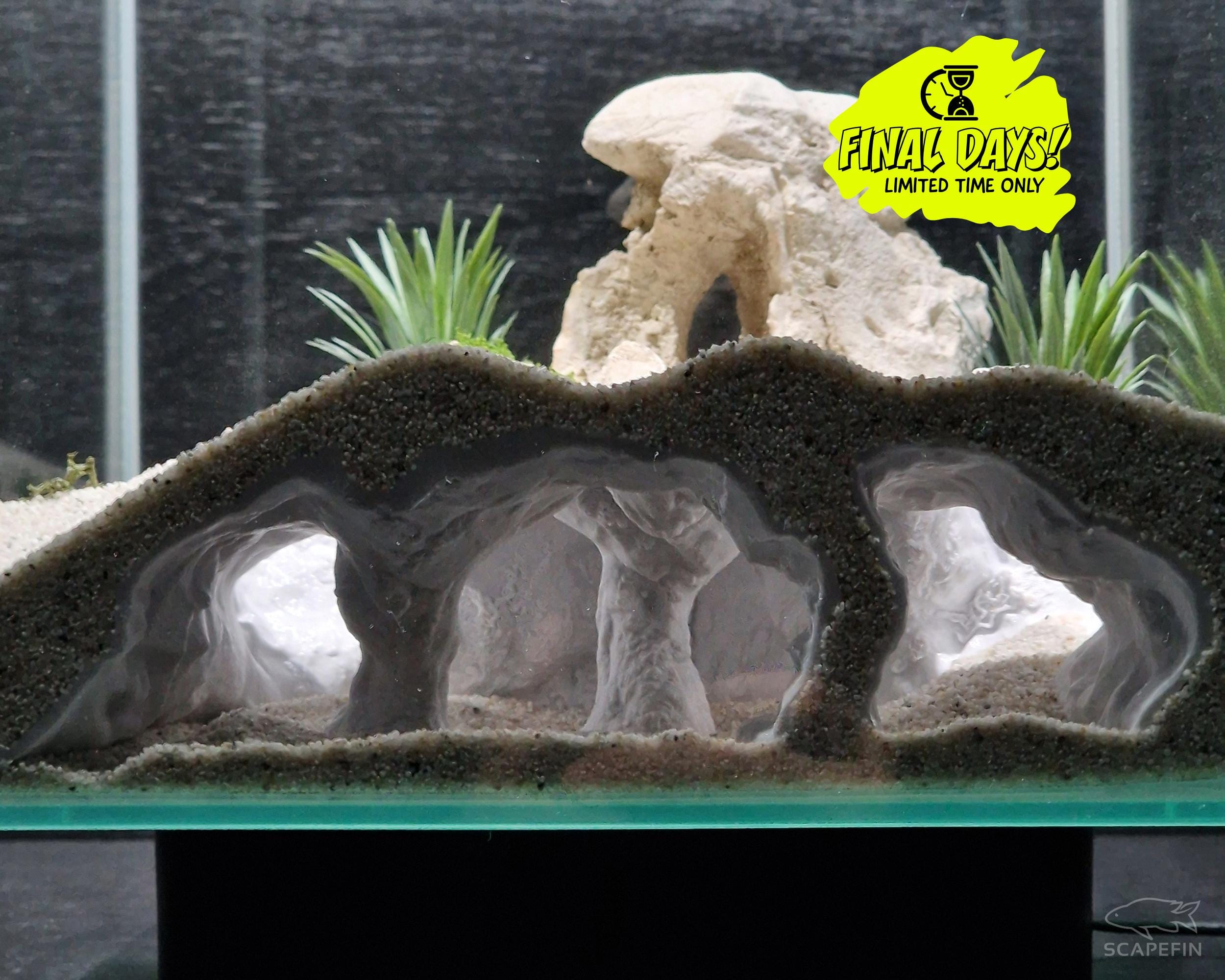 Aquascaping With Tunnels And Arches: Stunning Designs to Try