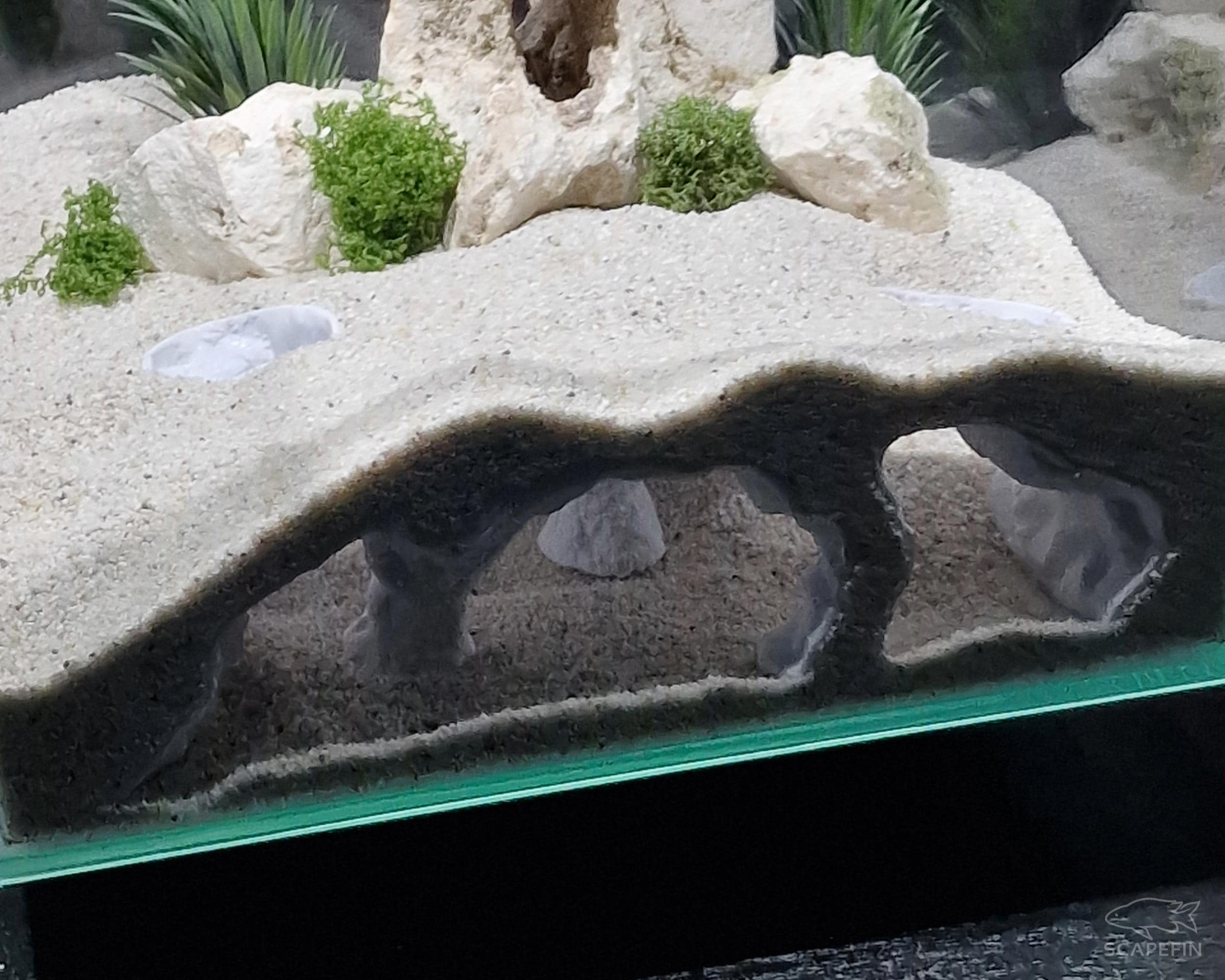 Atlantis Hidden Observation Cave | Aquarium & Terrarium Decor | Natural Hide for Fish, Plecos, Shrimp, Beetles or Reptiles