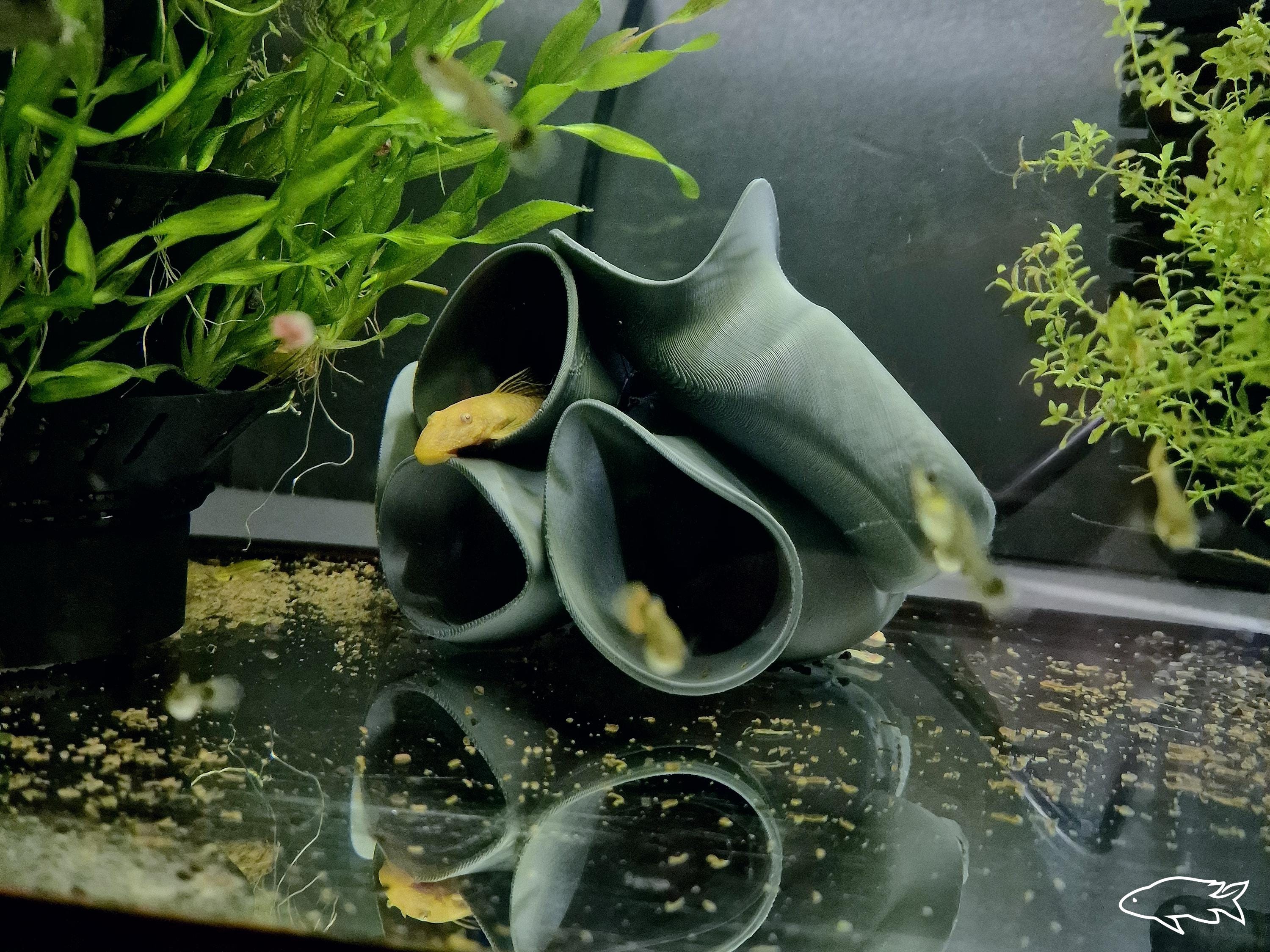 Pleco Hotel Cave | Aquarium & Terrarium Decor | Natural Hide for Fish, Plecos, Shrimp or Reptiles