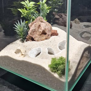 Aquarium Cave Hide: Natural Terrarium Decor for Fish, Shrimp, Reptiles