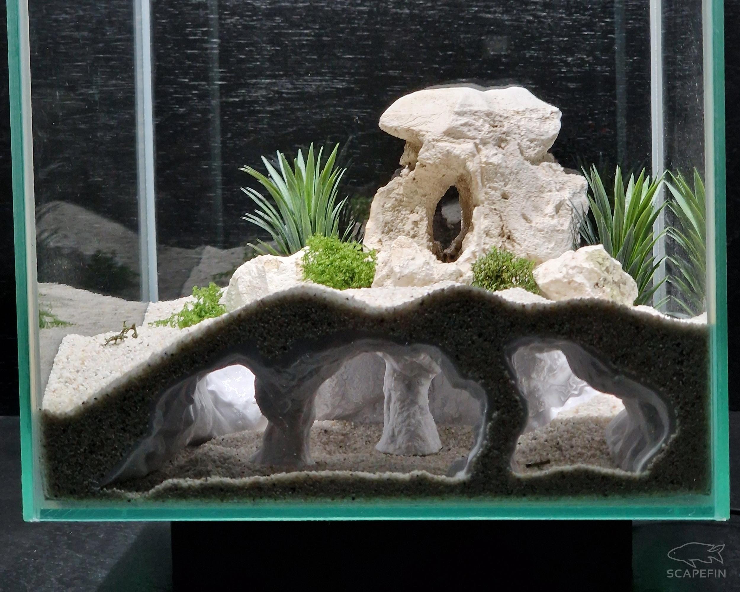 Atlantis Hidden Observation Cave | Aquarium & Terrarium Decor | Natural Hide for Fish, Plecos, Shrimp, Beetles or Reptiles