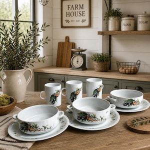 Villeroy & Boch Vegetable Soup Set with Cups and Plates