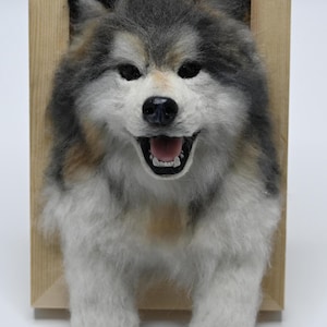 Custom 3D Pet Portrait Wool Felted Alaskan Malamute Memorial Frame,Realistic Needle Felt Dog Replica,   Halloween gifts for pet lovers