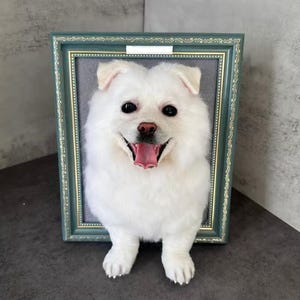 CUSTOM 3D Wool Felt Pet Portrait | Wool Pet Portrait | Wool Dog / Cat Memorial Frame | Pet Lover Gift | Pet Loss Gift
