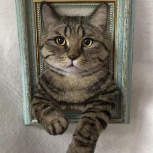 Custom 3D Wool Felt Cat Portrait in Wooden Frame|Personalized Wool Pet Portrait | Wool Dog / Cat Memorial Frame |Cat Loss Memorial Gift