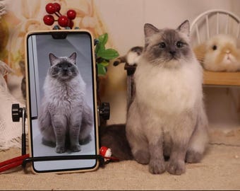 3D Wool Felt Long Hair Pet Portrait, Handmade Cat Memorial Frame, Personalized Pet Replica, Pet Felt Plush, Pet Loss Gifts，Pet Lover Gifts