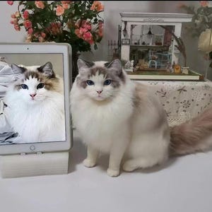 Custom Needle Felted Cat Sculpture，Wool Cat Portrait Replica, , Personalized Wool Felting Pet Figurine, Miniature Pet Memorial，Gift for Mum
