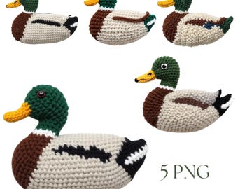 Mallard Duck Latch Hook Crochet PNG Chunky Yarn Design Rustic Cabin Decor Waterfowl Clipart DIY Craft Digital Download