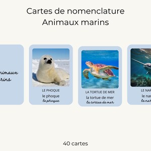 Cartes de nomenclature - animaux marins