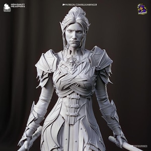 Minthara - 3D Resin Model | Drow Paladin of Baldur’s Gate 3 | Unpainted/Painted RPG Figurine, Fantasy Miniature, Collector’s Display