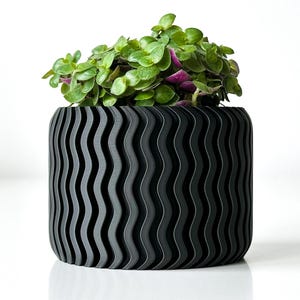 Pode incluir: Um vaso preto ondulado com uma planta suculenta verde dentro. O vaso é feito de um material texturizado e tem uma forma cilíndrica.