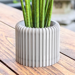 Pode incluir: Um vaso de cimento cinzento com um design nervurado, contendo uma planta verde com folhas longas e finas.