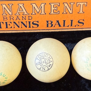 Dauphin - Ping Pong et Tennis de Table