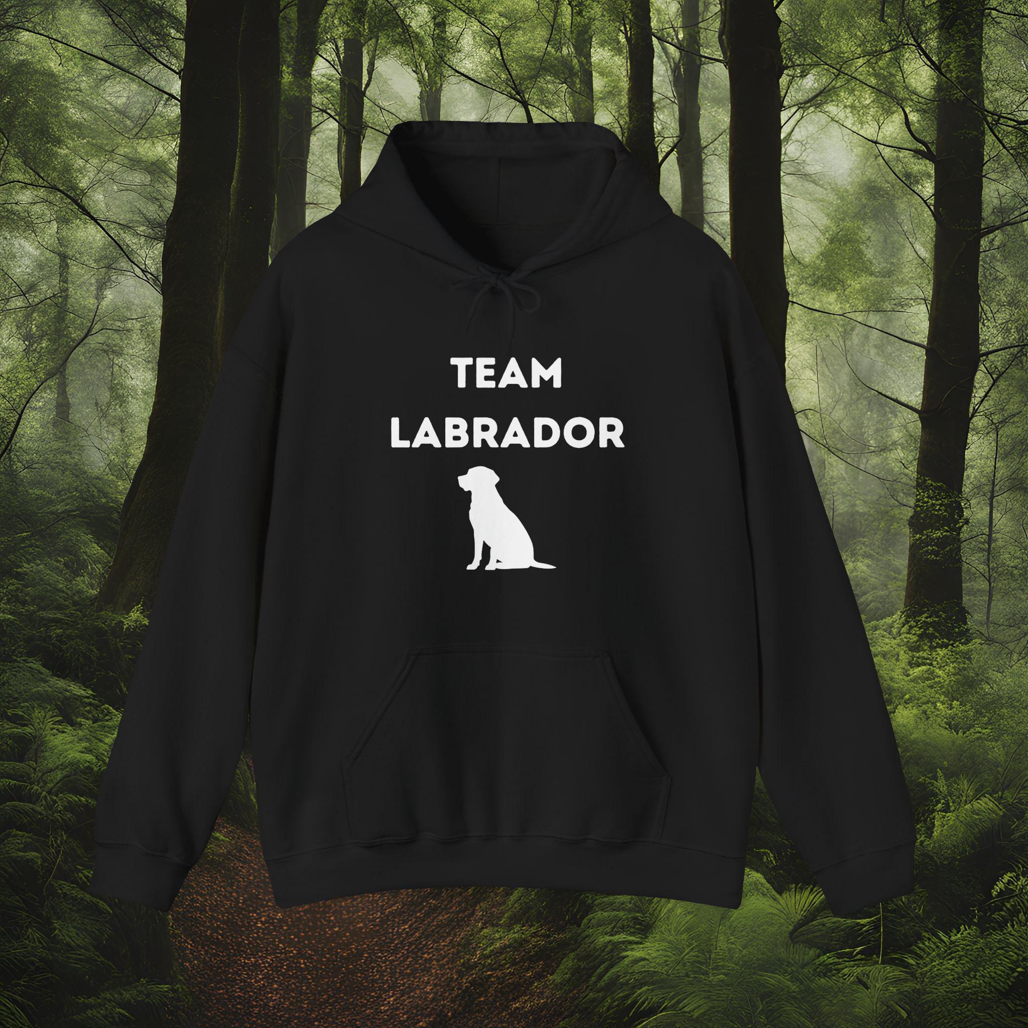 Team Labrador Hoodie, Dog Mom/dad Gift - Etsy Canada