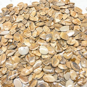May include: A large pile of polished, oval-shaped picture jasper stones. The stones vary in color from tan to brown with intricate patterns and veining. Some stones are a solid cream color. The stones are smooth and appear ready for jewelry making.