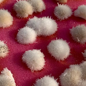 Lotto di cristalli di natrolite naturale / 34 pezzi Campioni minerali all'ingrosso / Cluster di zeolite del Marocco / 63pz