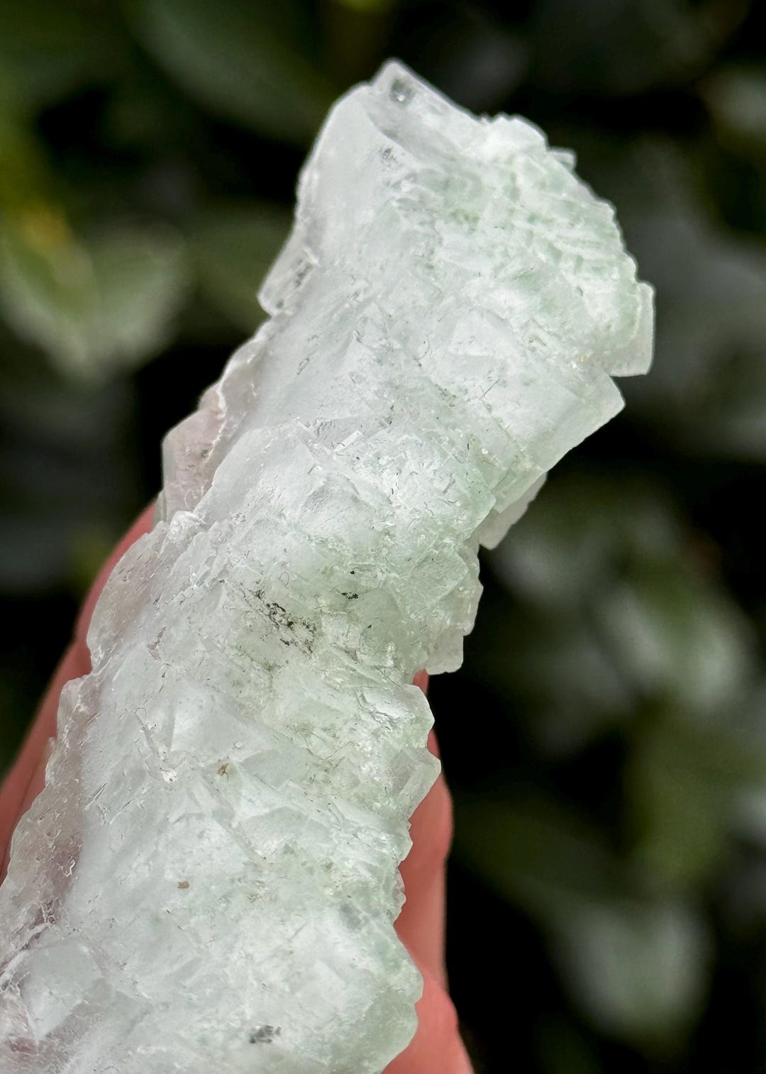 Pale Green Halite Pseudo-stalactite | Cubic Rock Salt Mineral Specimen ...