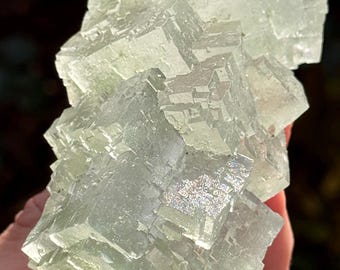 335g Natural Halite Crystal Cluster (Galite) with Atacamite – Poland – Raw Cubic Specimen | Evaporite Crystal | 45p-10