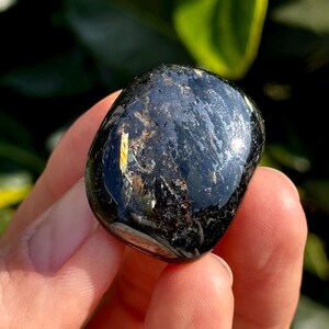 May include: A polished, black gemstone with gold flecks, held in a hand. The stone has a smooth, rounded shape and reflects light, showcasing its glossy surface. The background is blurred green foliage.