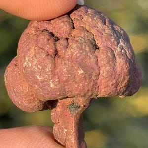 Native Raw Cooper Nugget | DR Kongo | 18:00-15:00