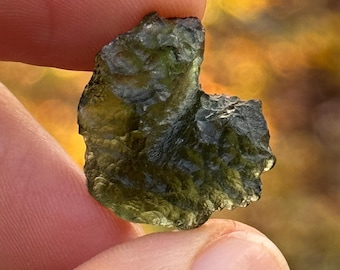 Authentic Olive Green Moldavite: Raw Tektite Crystal, Southern Bohemia | 31p-37